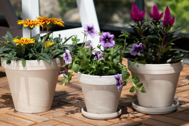 Dunne & Dineen Standard Pot Granite Clay 18cm x 16cm