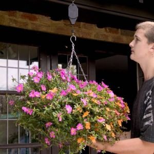 Gardman Hi-Lo Hanging Basket Support