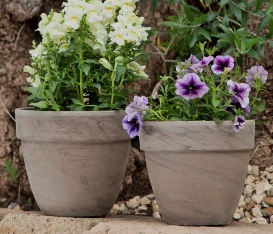Coupe Pot - Basalt 53cm x 43cm