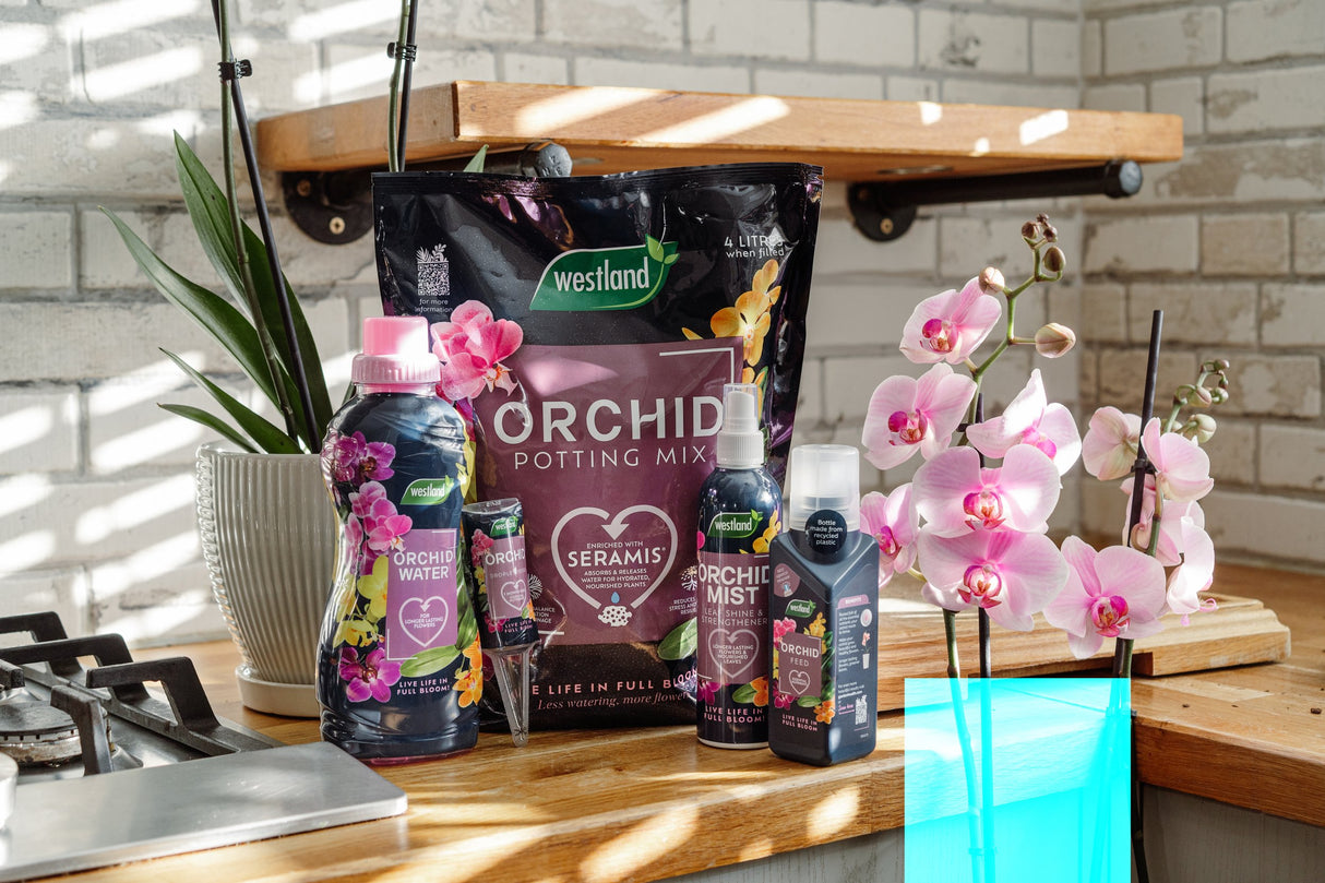 Orchid Potting Mix 4L