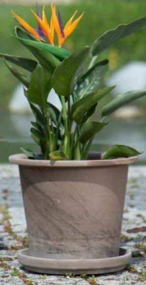 Dunne & Dineen Vento Pot Basalt 25cm x 20cm