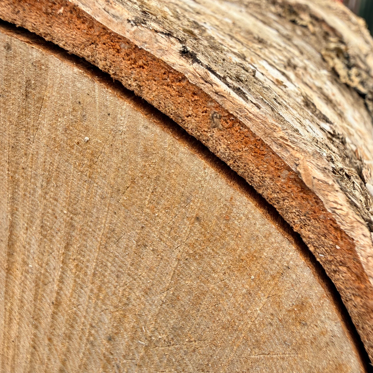 Lovely Logs Kiln Dried Birch Firewood - 25L Bags