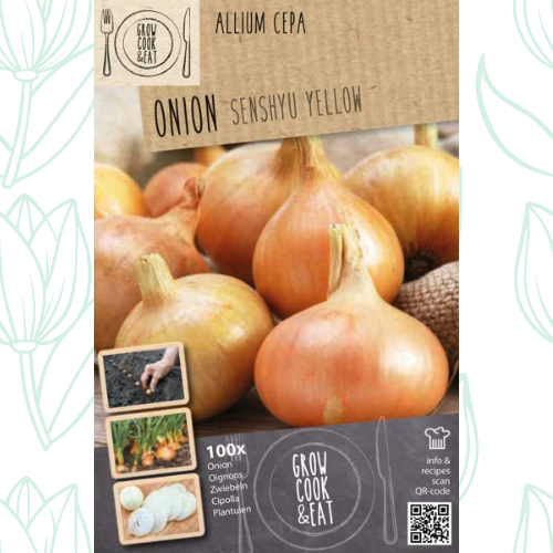 Kapiteyn Onion Set Senshyu x100