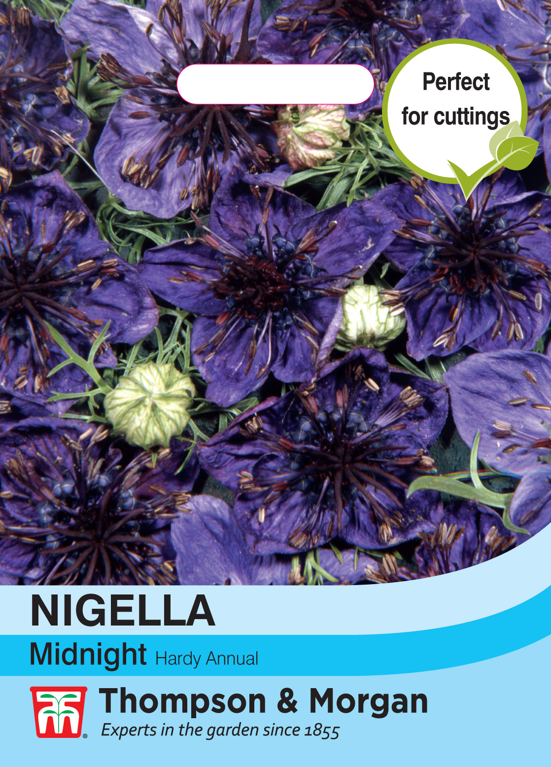 Thompson & Morgan - Nigella Midnight Seeds