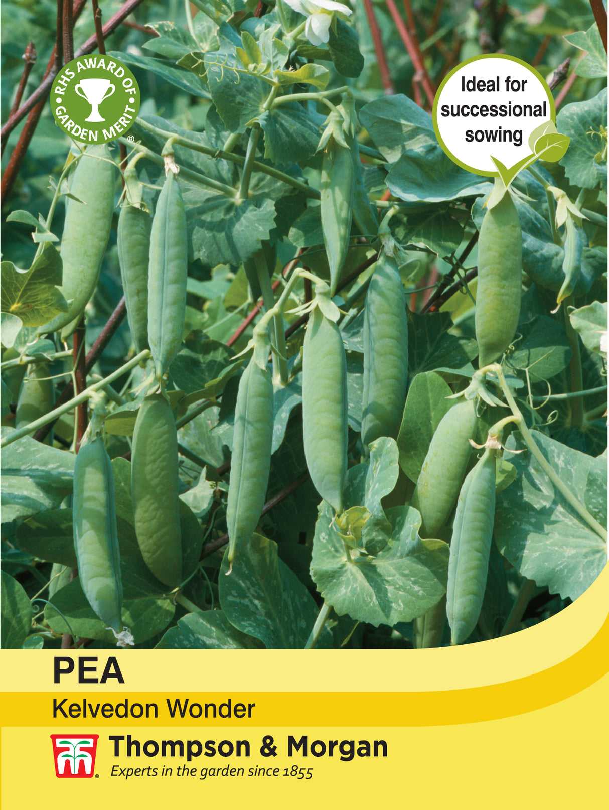 Thompson & Morgan - Pea Kelvedon Wonder Seeds