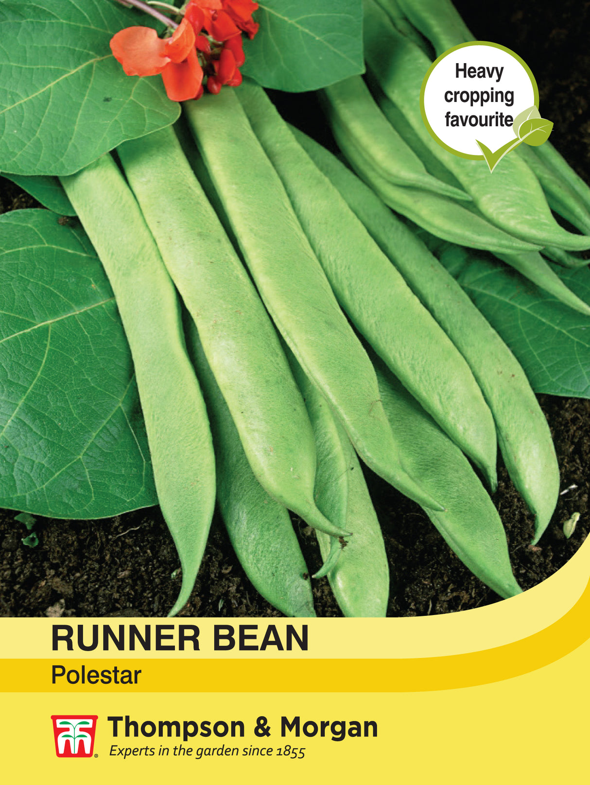 Thompson & Morgan - Runner Bean Polestar Seeds