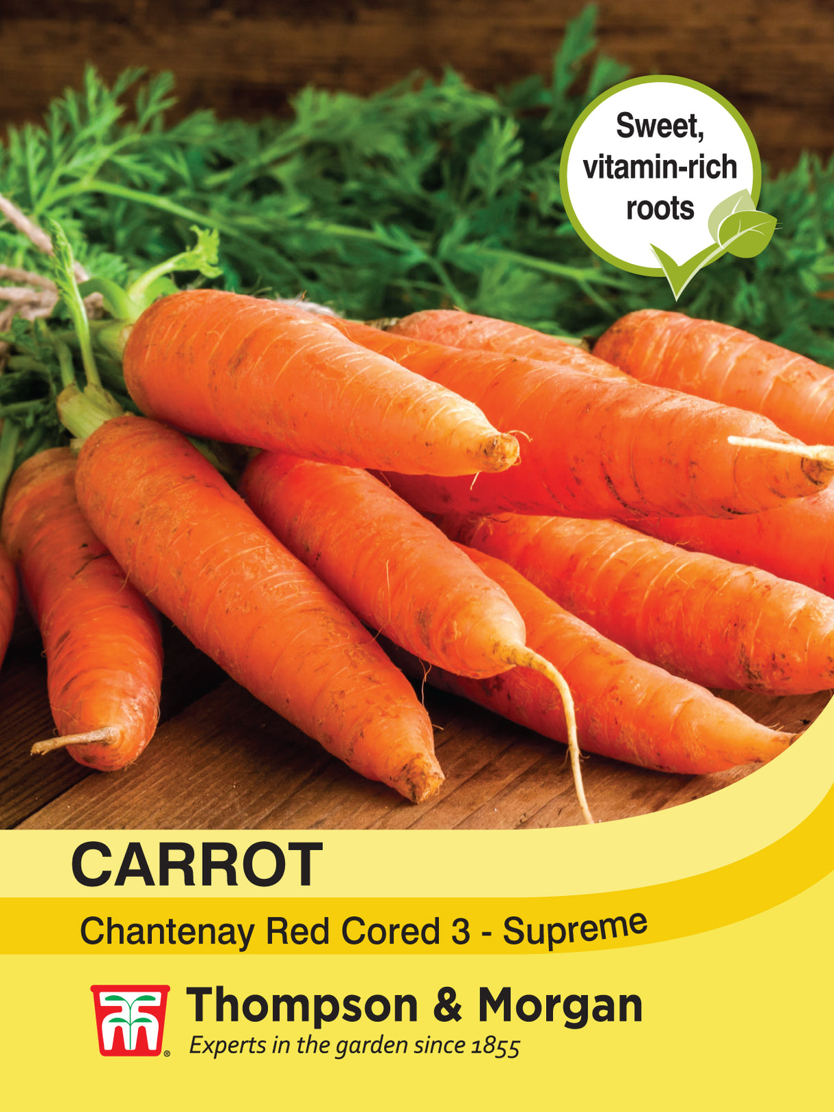 Thompson & Morgan - Carrot Chantenay Red Cored 3 - Supreme Seeds
