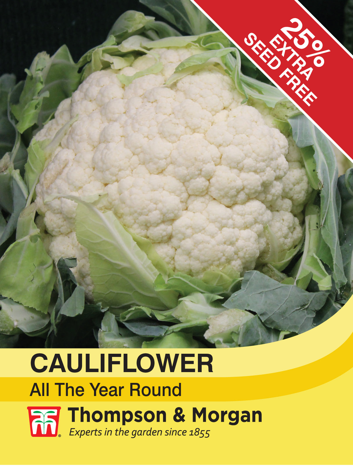 Thompson & Morgan - Cauliflower All The Year Round Seeds