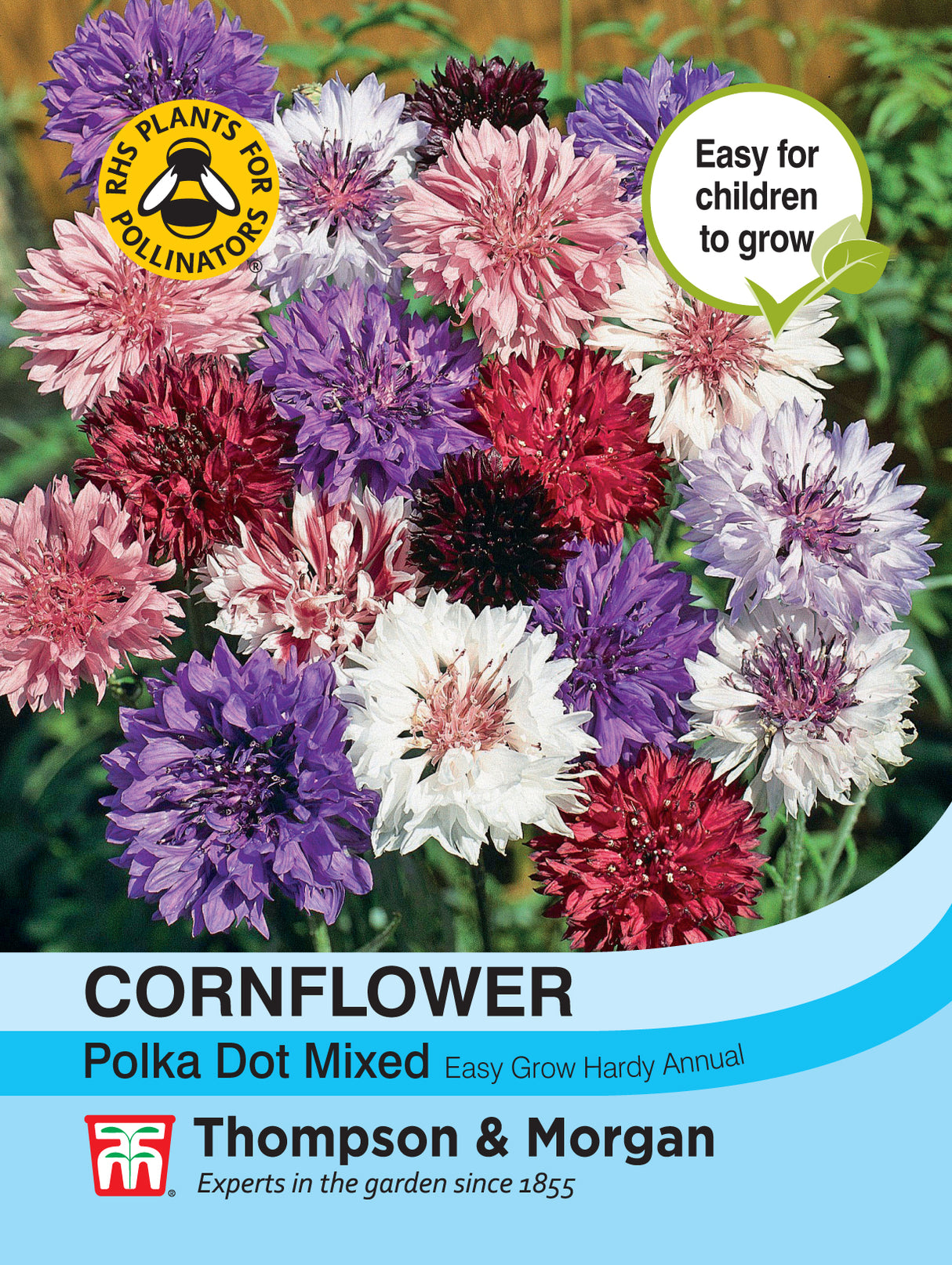 Thompson & Morgan - Cornflower Polka Dot Mixed Seeds