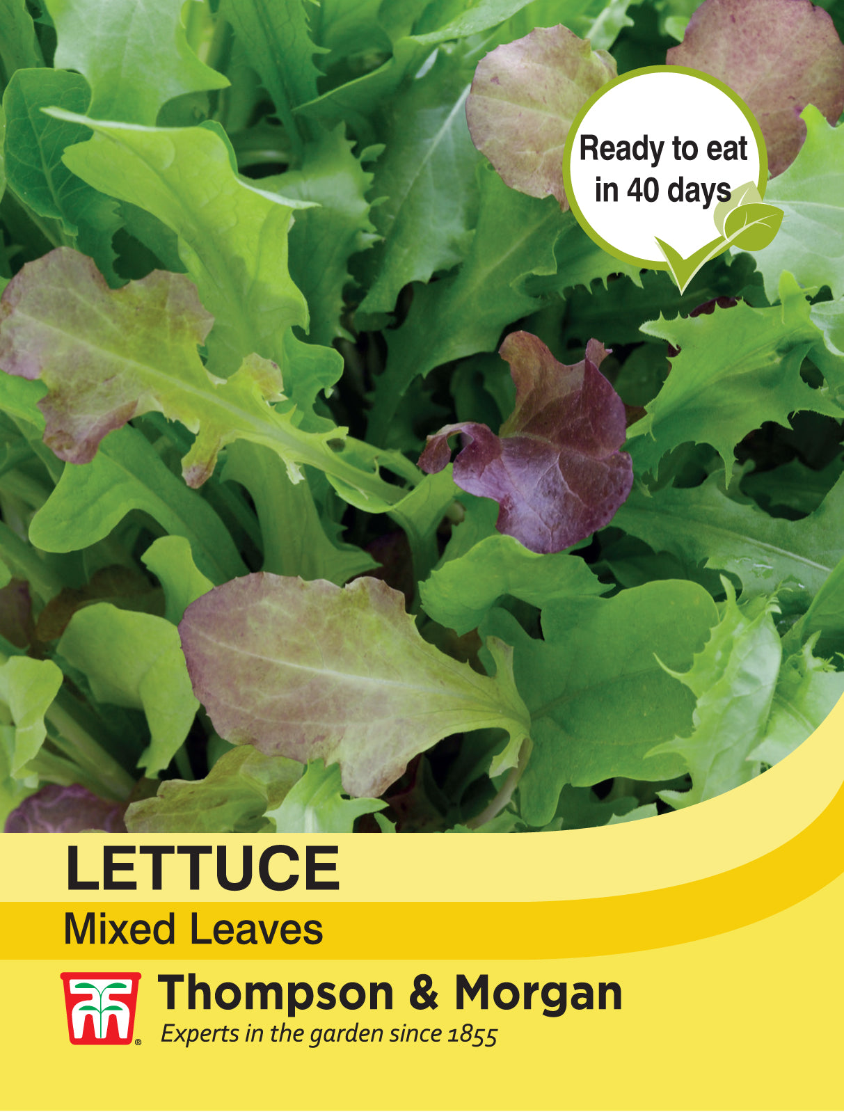 Thompson & Morgan - Lettuce Salad Leaves Mixed Seeds
