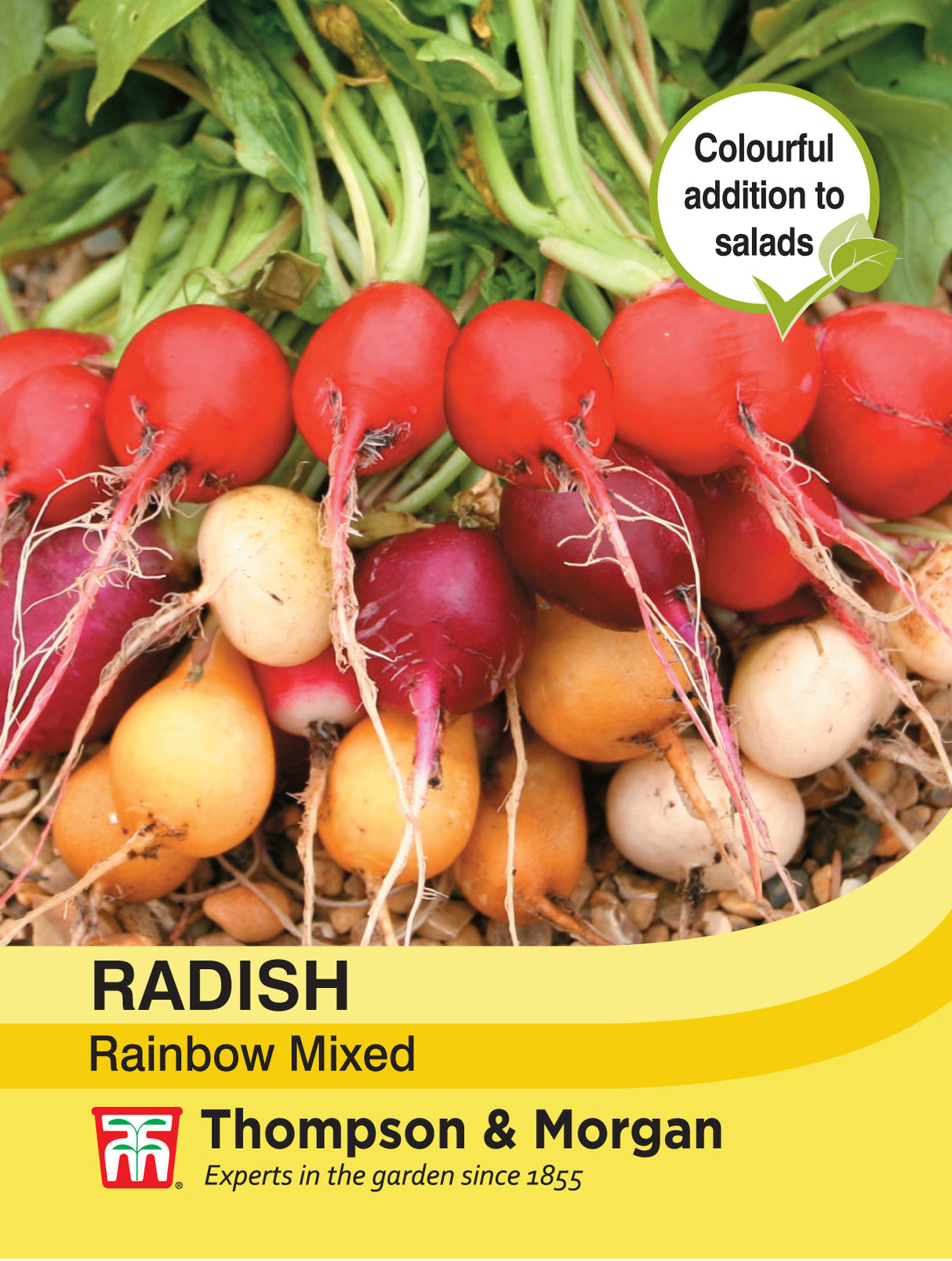 Thompson & Morgan - Radish Rainbow Mixed Seeds