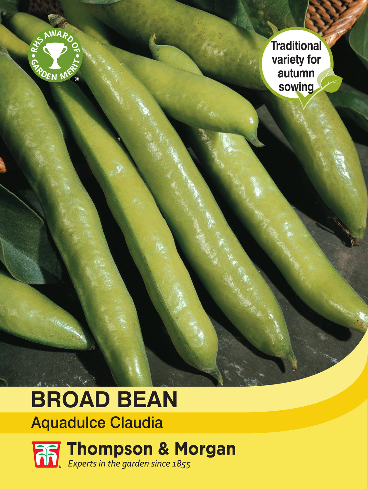 Thompson & Morgan - Broad Bean Aquadulce Caludia Seeds