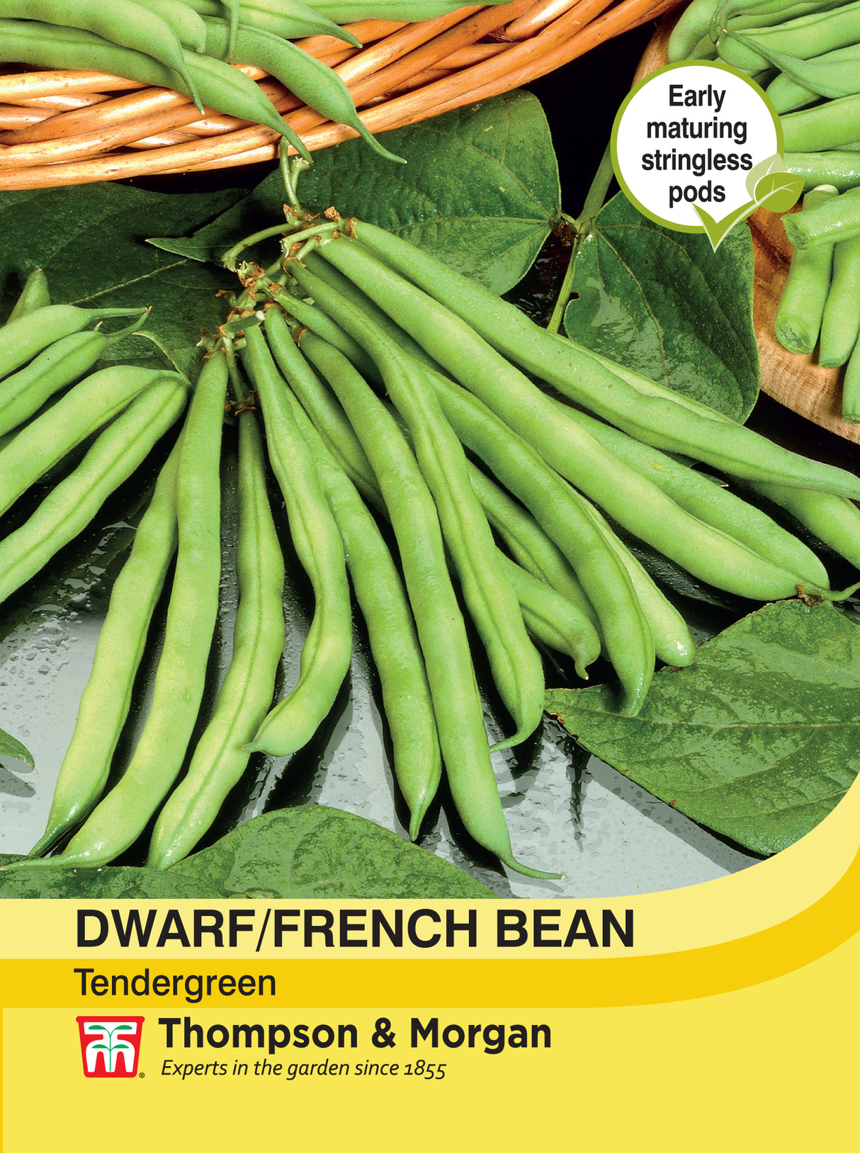 Thompson & Morgan - Dwarf Bean Tendergreen Seeds