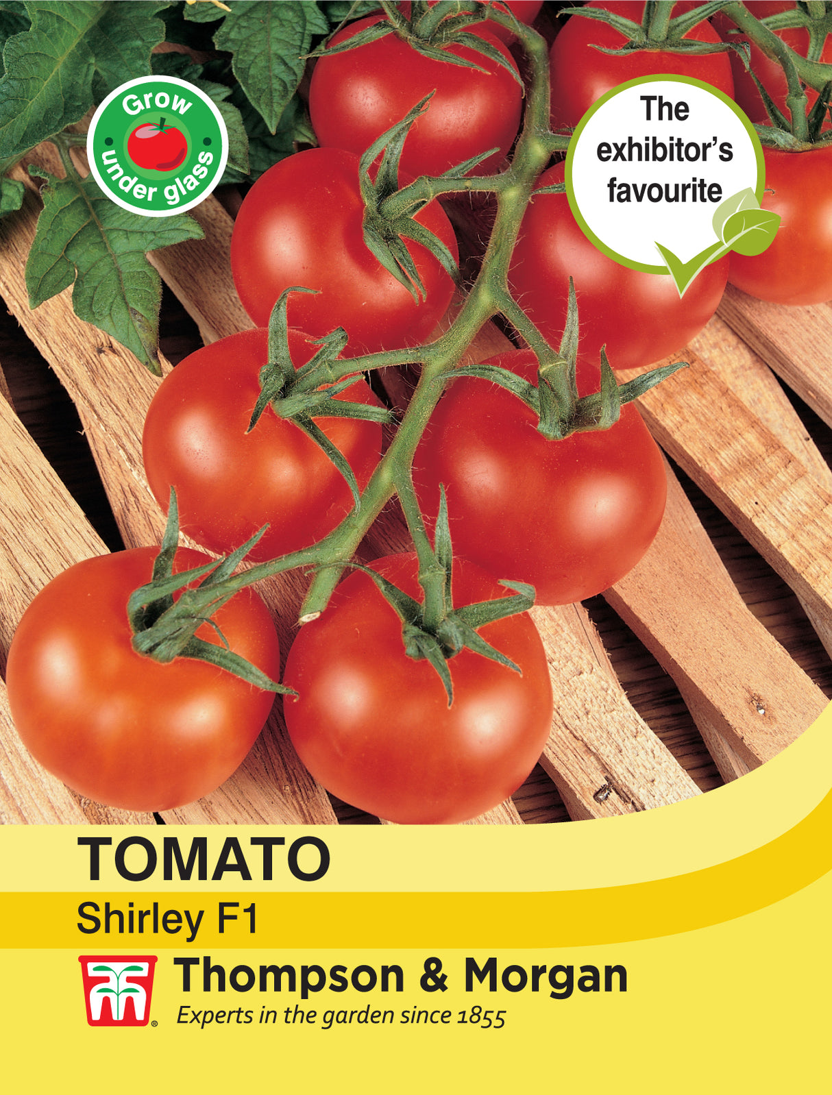 Thompson & Morgan - Tomato Shirley Hybrid F1 Seeds