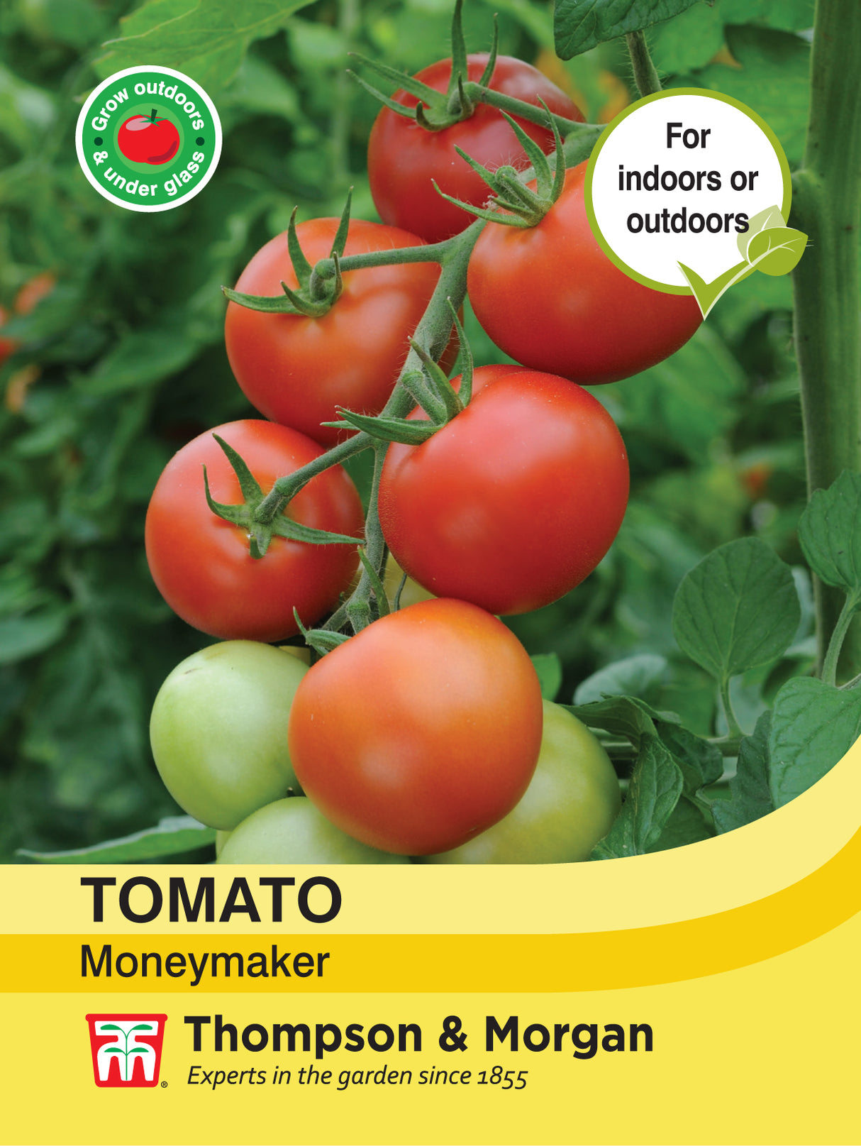 Thompson & Morgan - Tomato Moneymaker Seeds