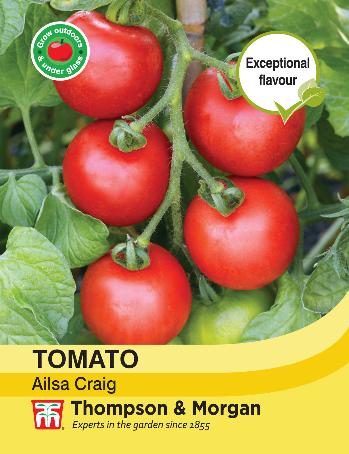 Thompson & Morgan - Tomato Ailsa Craig Seeds