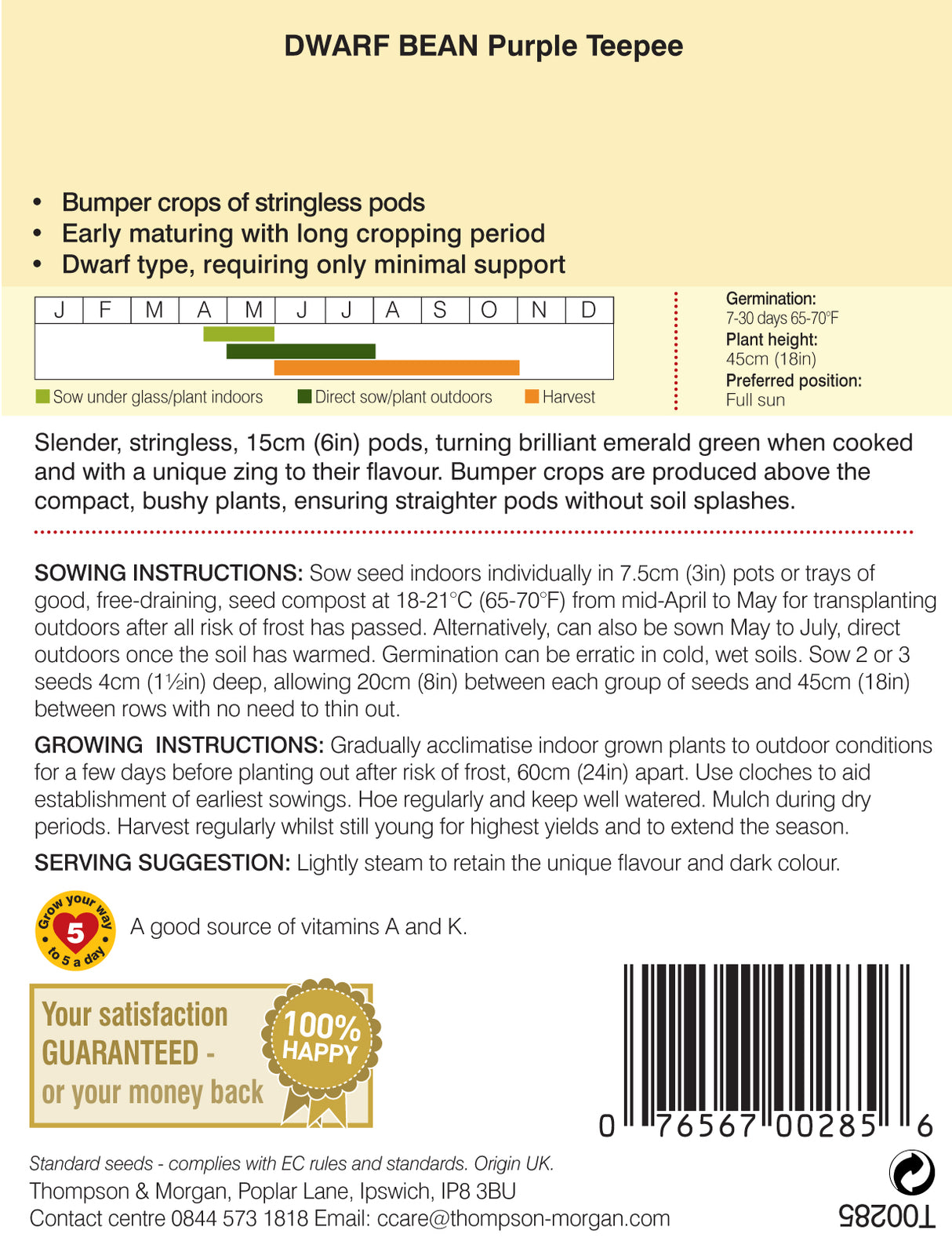 Thompson & Morgan - Dwarf Bean Purple Teepee Seeds