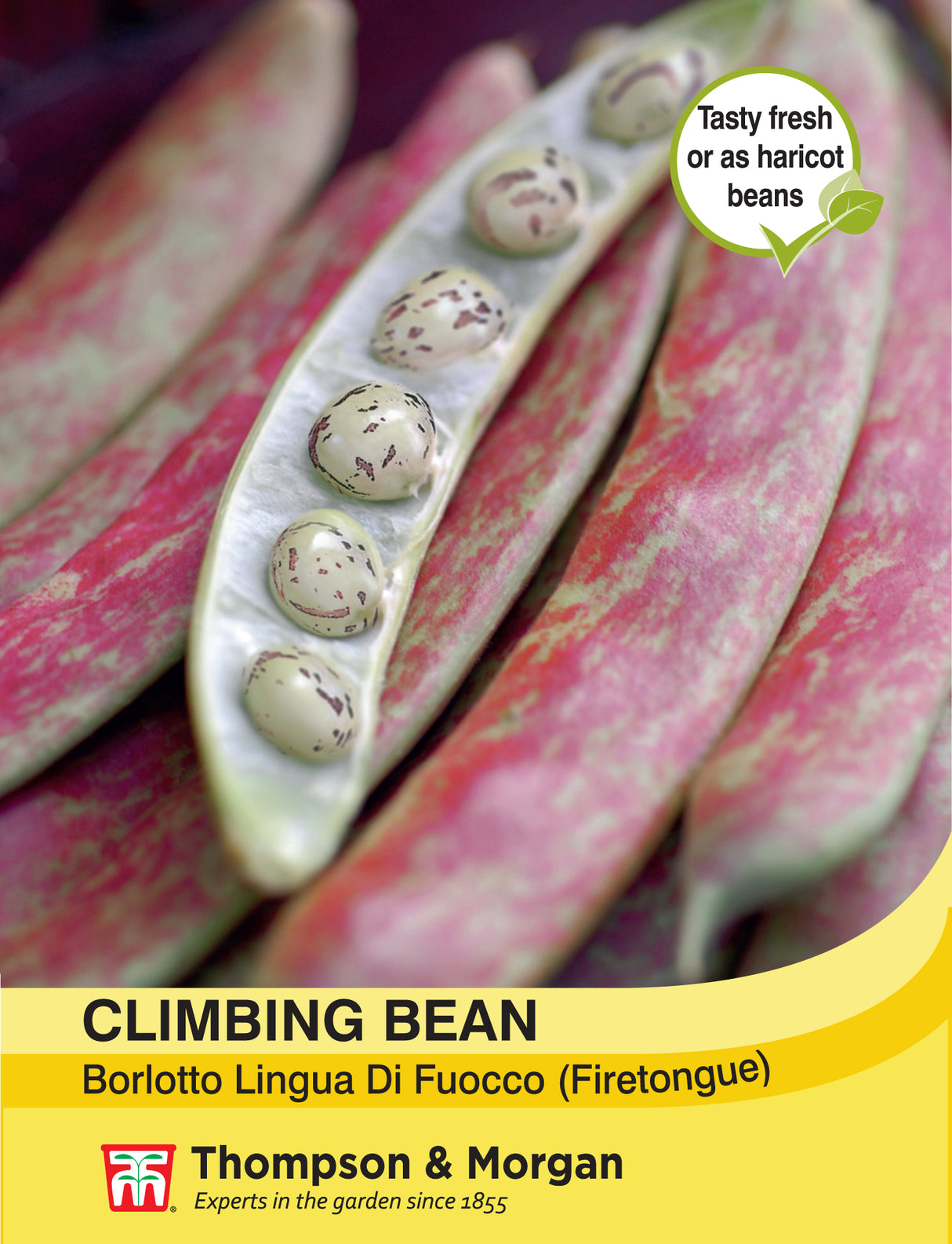 Thompson & Morgan - Climbing Bean Borlotto Lingua (Firetongue) Seeds