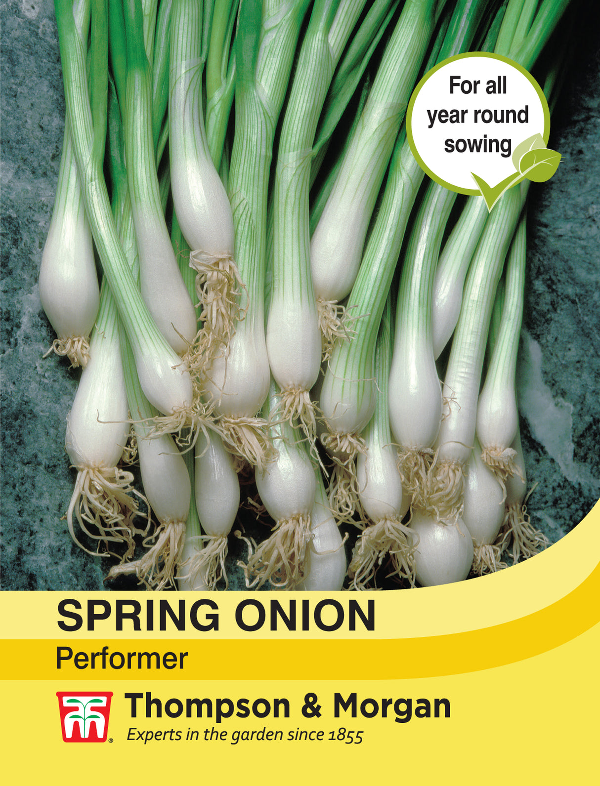 Thompson & Morgan - Spring Onion Performer Seeds