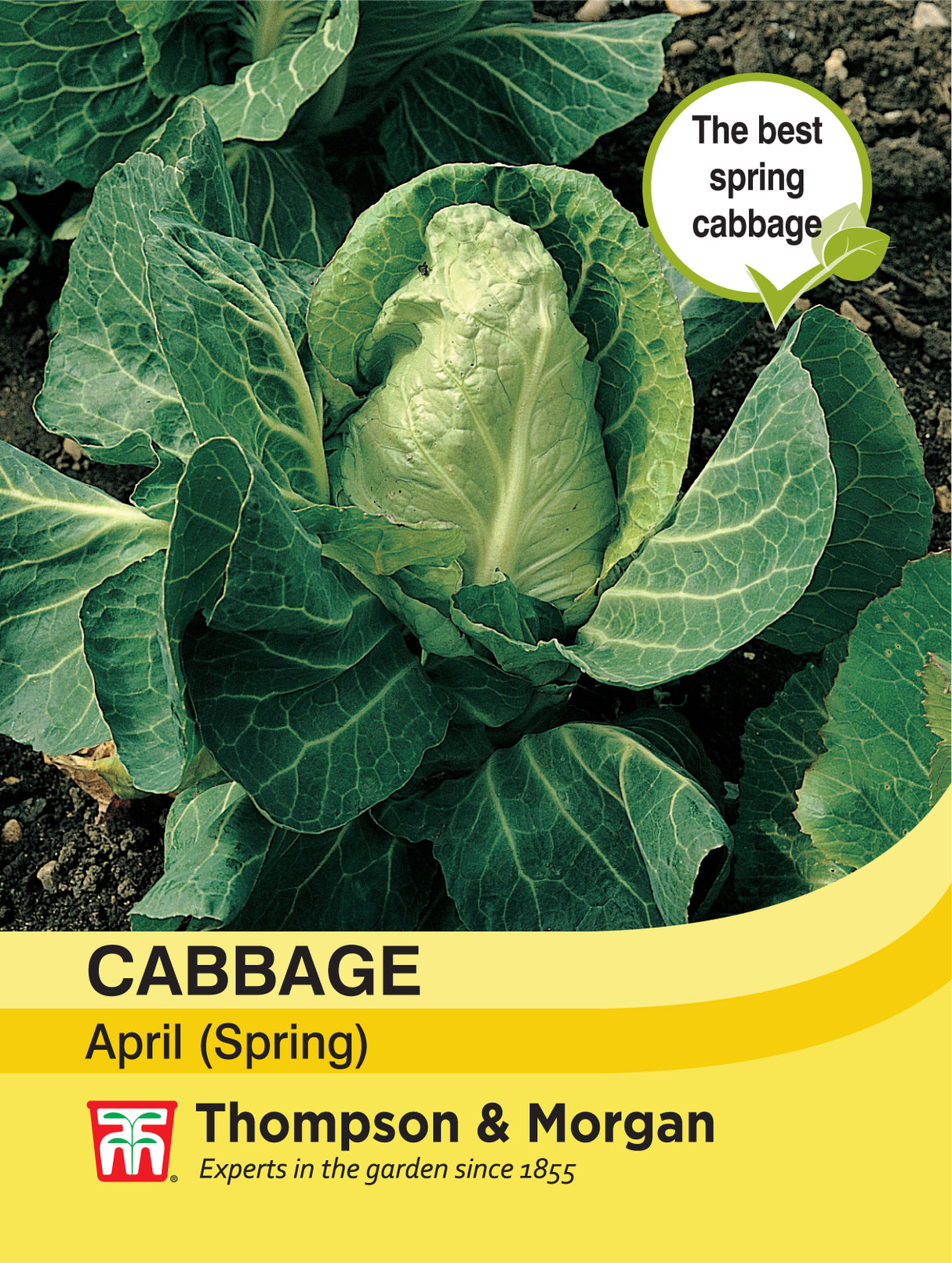 Thompson & Morgan - Cabbage (Spring) April Seeds