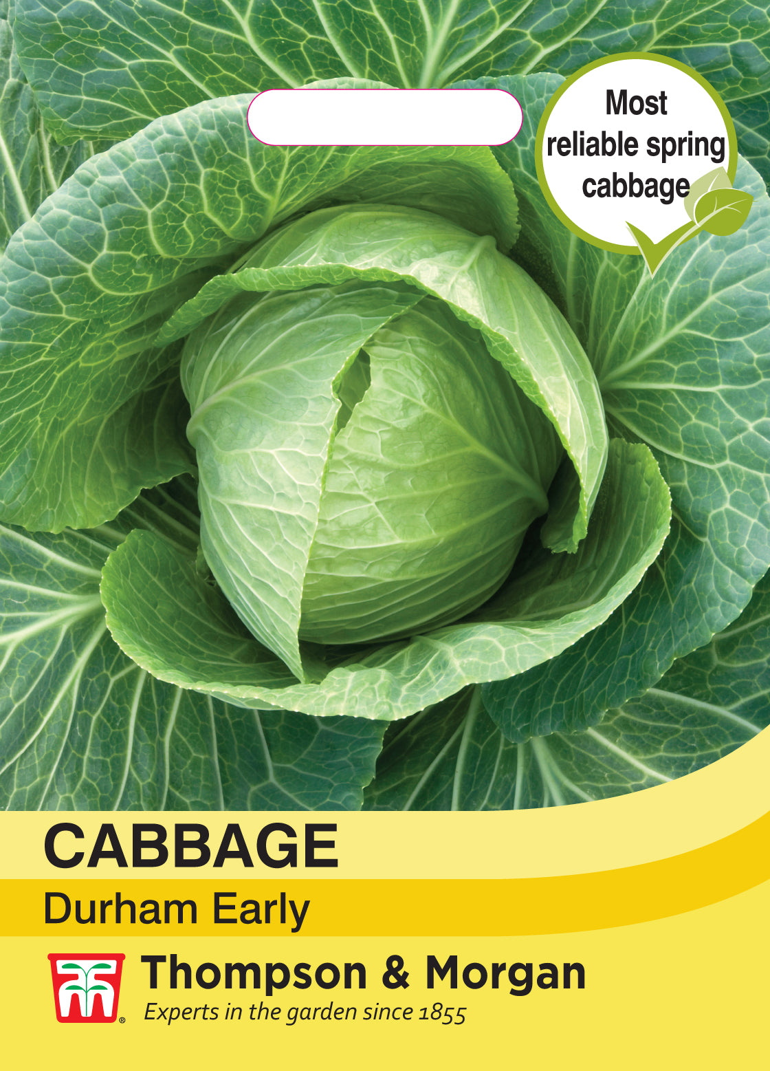 Thompson & Morgan - Cabbage Durham Early Seeds