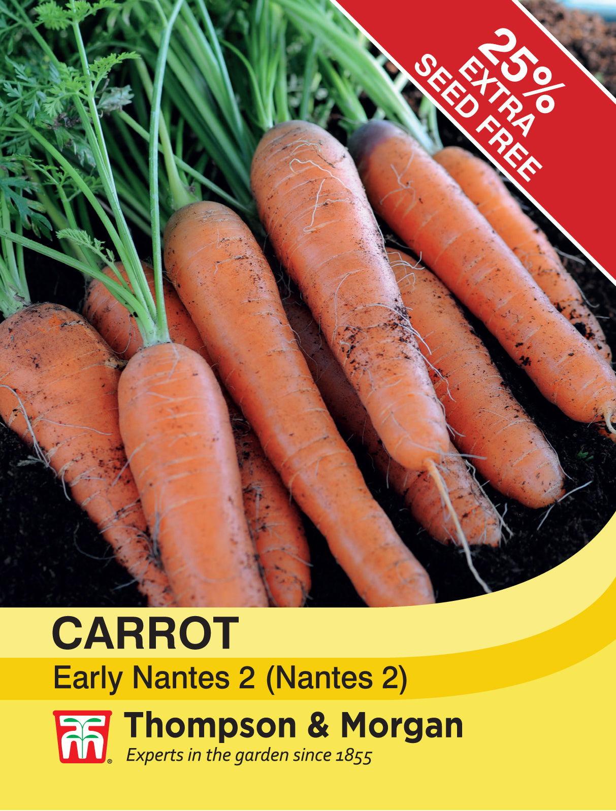 Thompson & Morgan - Carrot Early Nantes 2 Seeds
