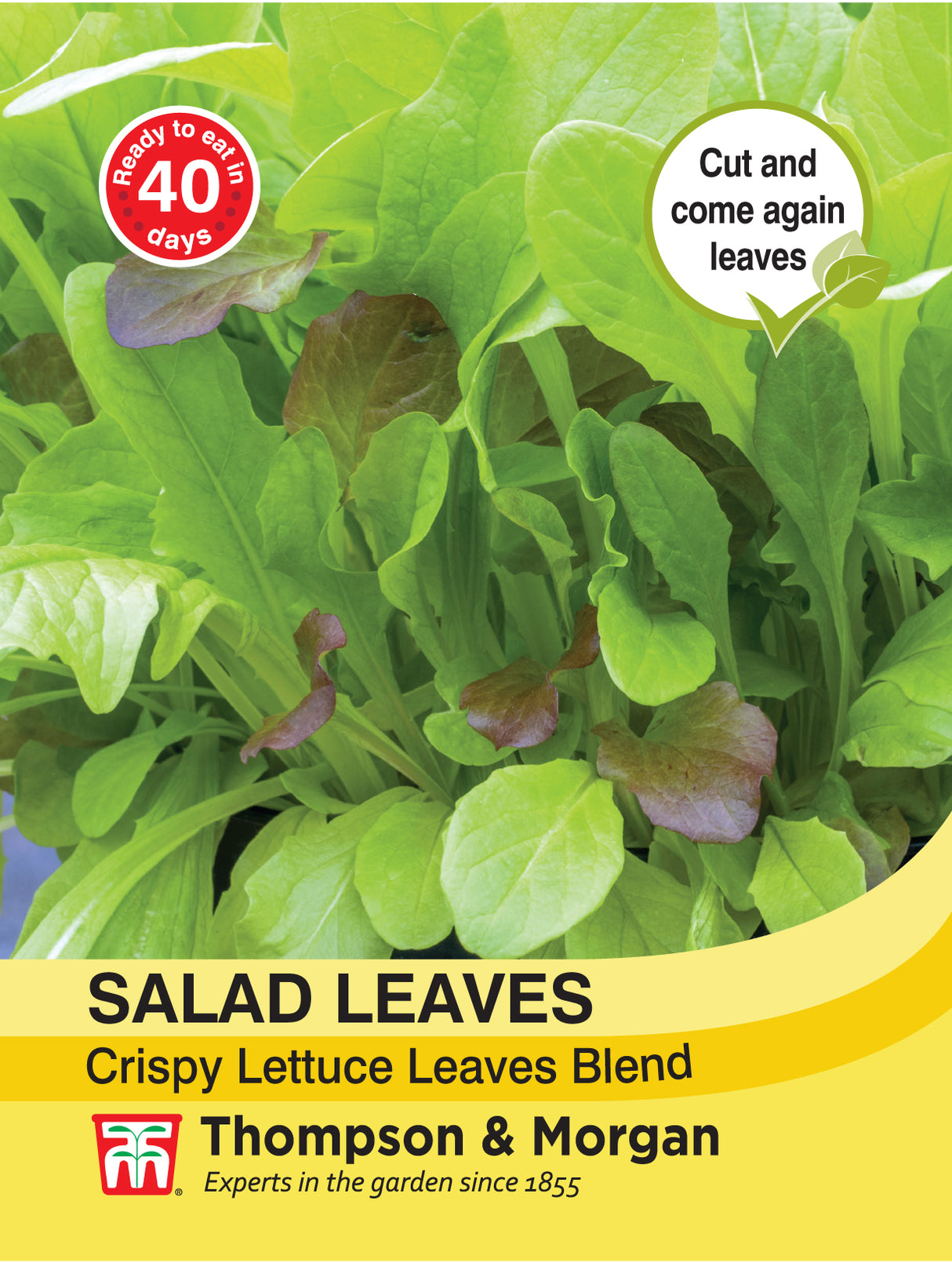 Thompson & Morgan - Salad Leaves - Crispy Lettuce Blend
