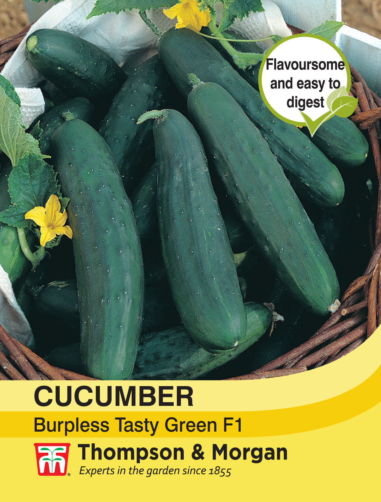 Thompson & Morgan - Cucumber Burpless Tasty Green Seeds