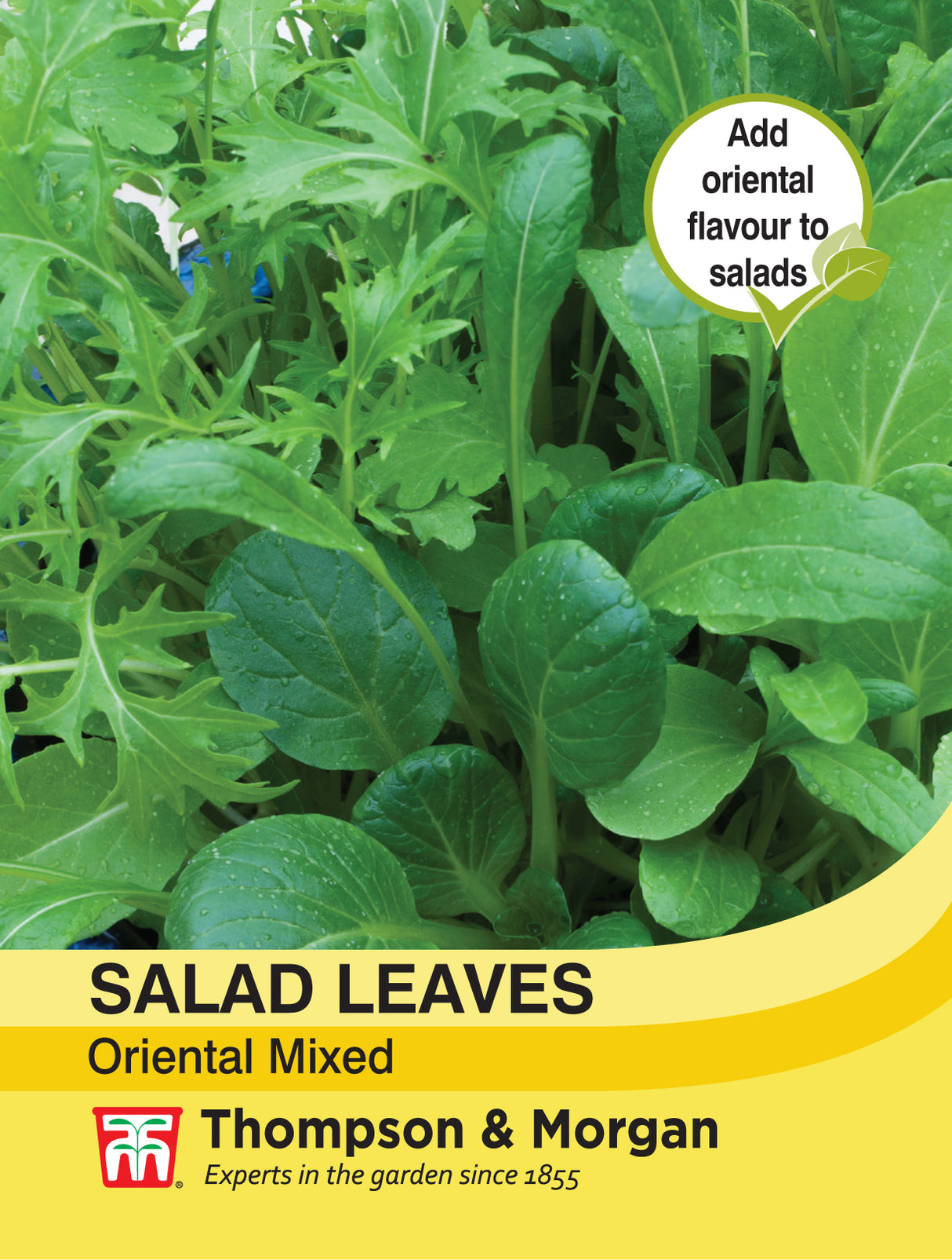 Thompson & Morgan - Salad Leaves- Oriental Mix Seeds