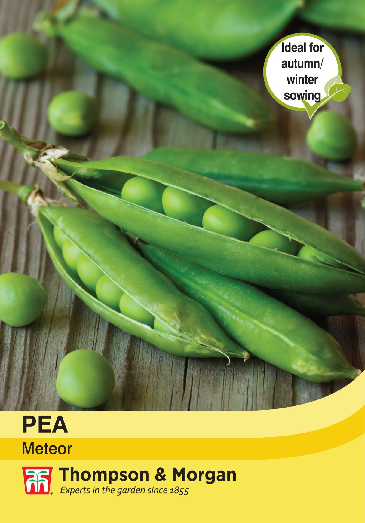 Thompson & Morgan - Pea Meteor Seeds