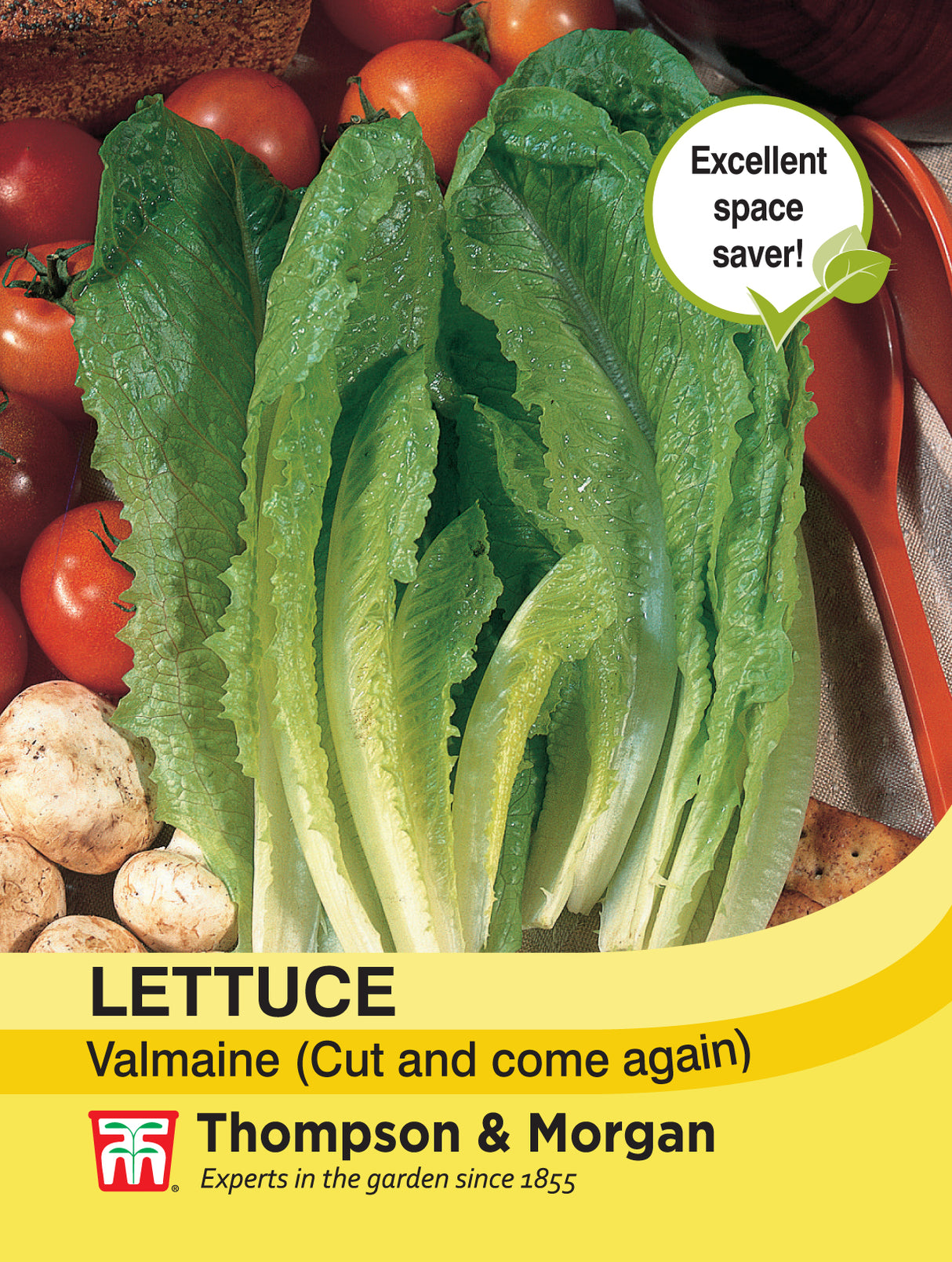 Thompson & Morgan - Lettuce Valmaine (Cut and Come Again) Seeds