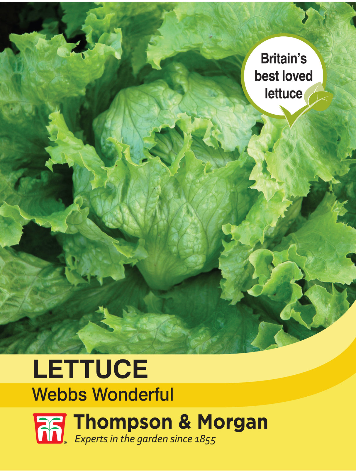 Thompson & Morgan - Lettuce Webbs Wonderful Seeds