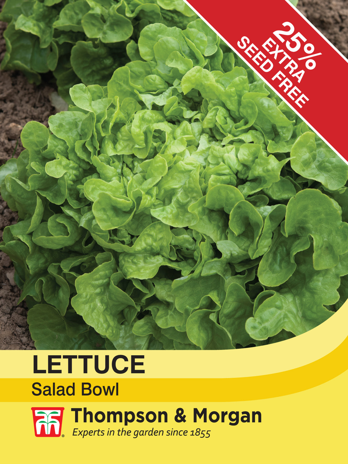 Thompson & Morgan - Lettuce Salad Bowl Seeds