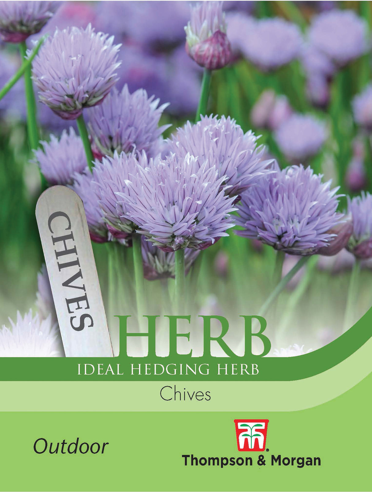 Thompson & Morgan - Herb Chives Seeds