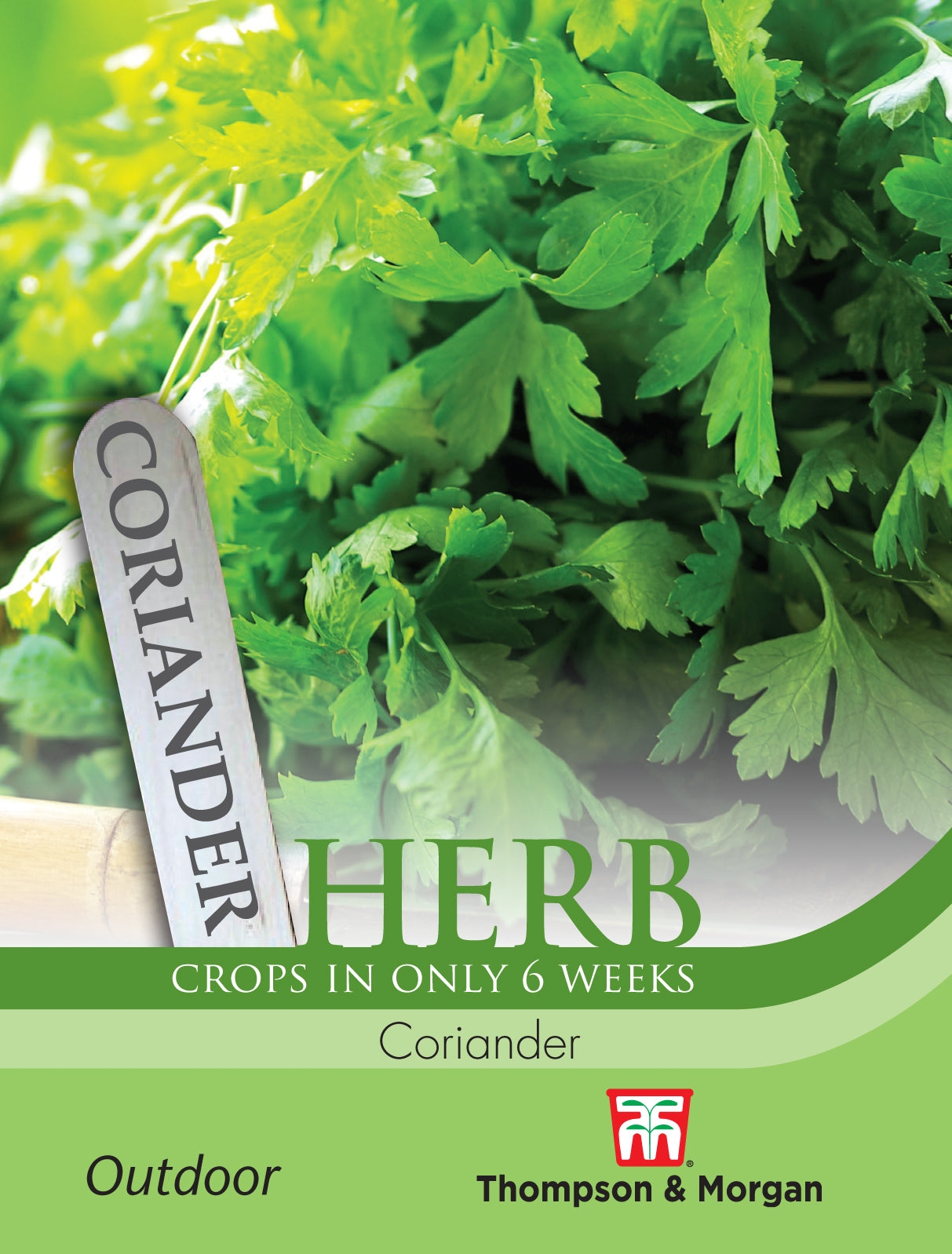 Thompson & Morgan - Herb Coriander Seeds