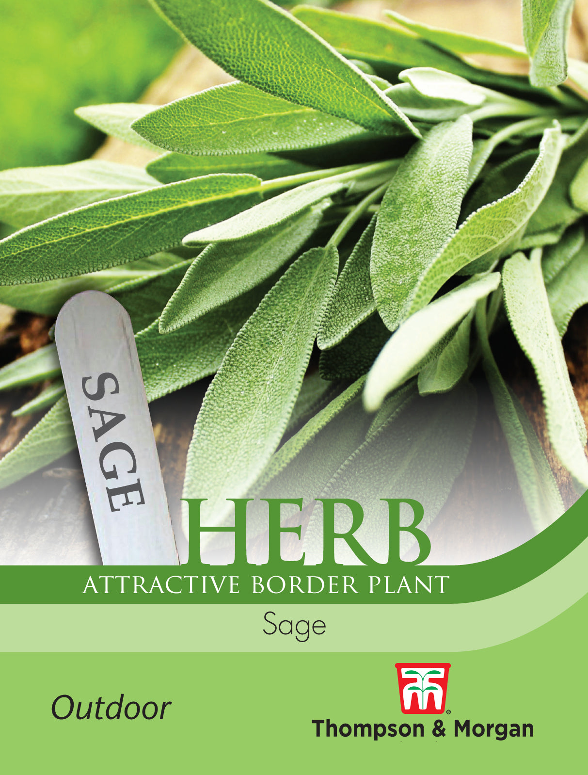 Thompson & Morgan - Herb Sage Seeds