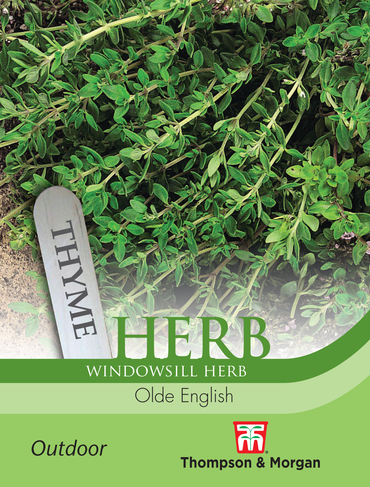 Thompson & Morgan - Herb Thyme Olde English Seeds