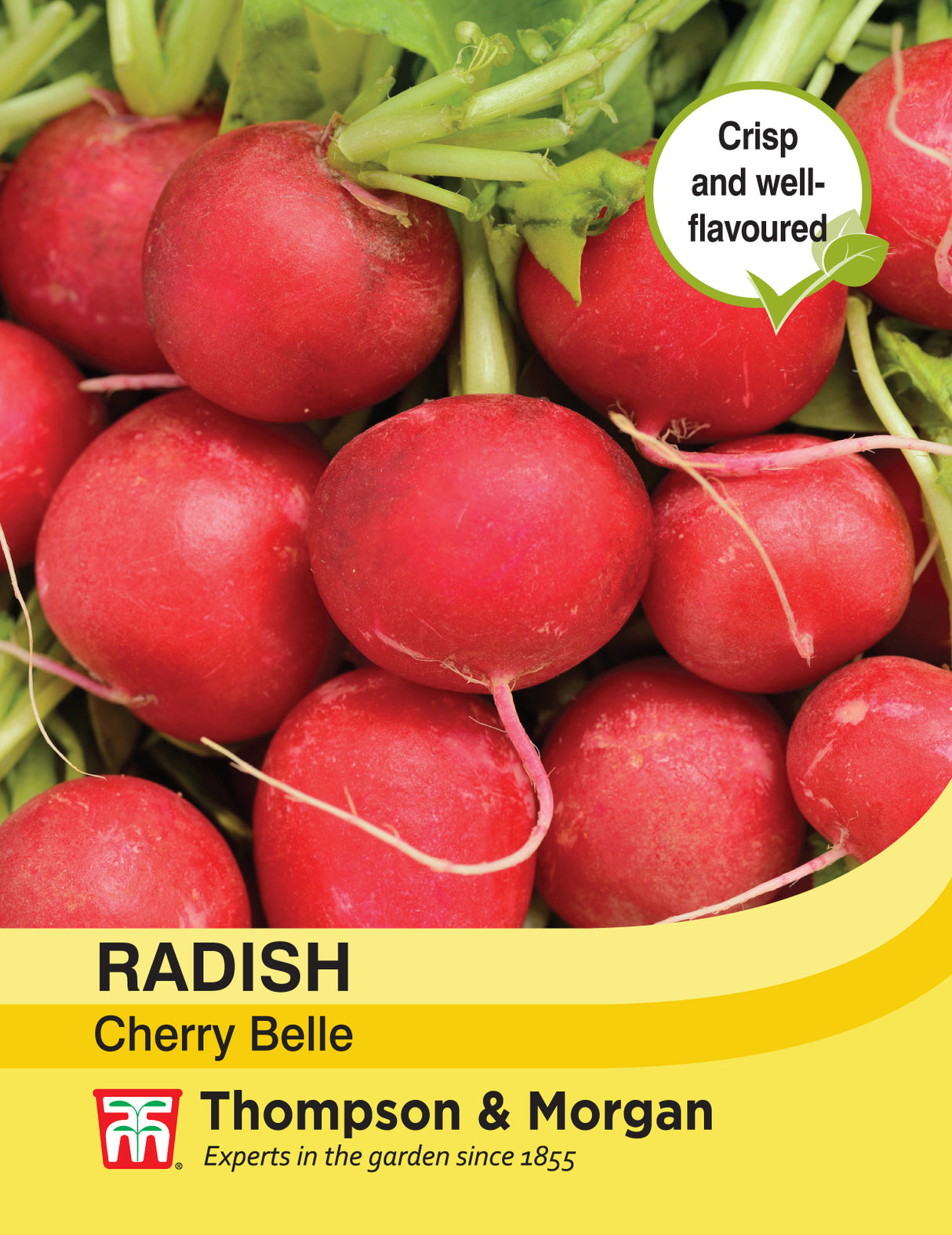 Thompson & Morgan - Radish Cherry Belle Seeds