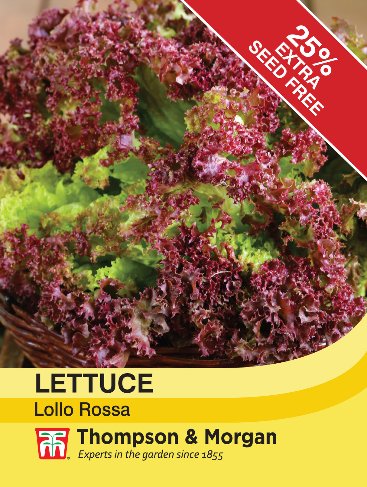 Thompson & Morgan - Lettuce Lollo Rossa Seeds