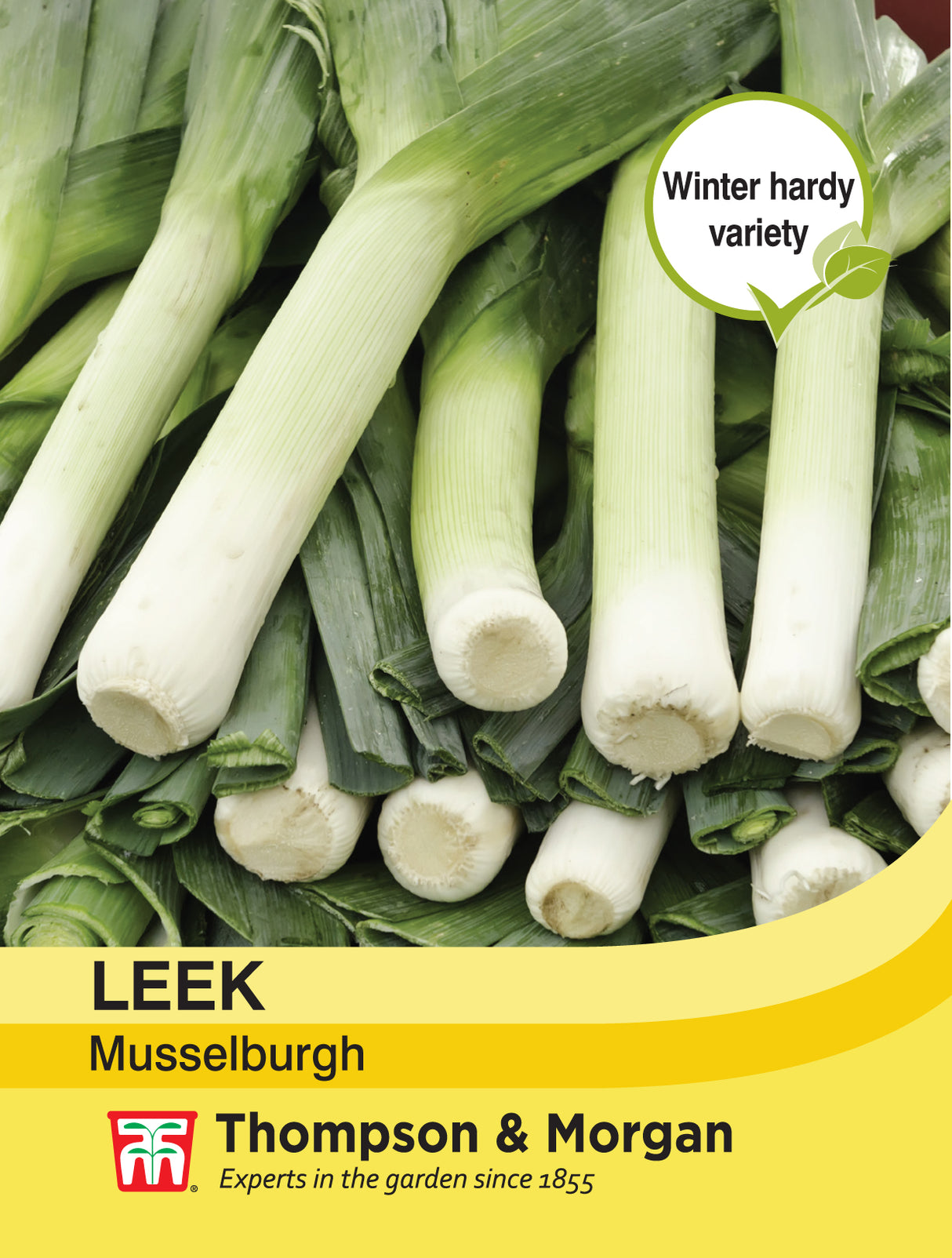 Thompson & Morgan - Leek Musselburgh Seeds