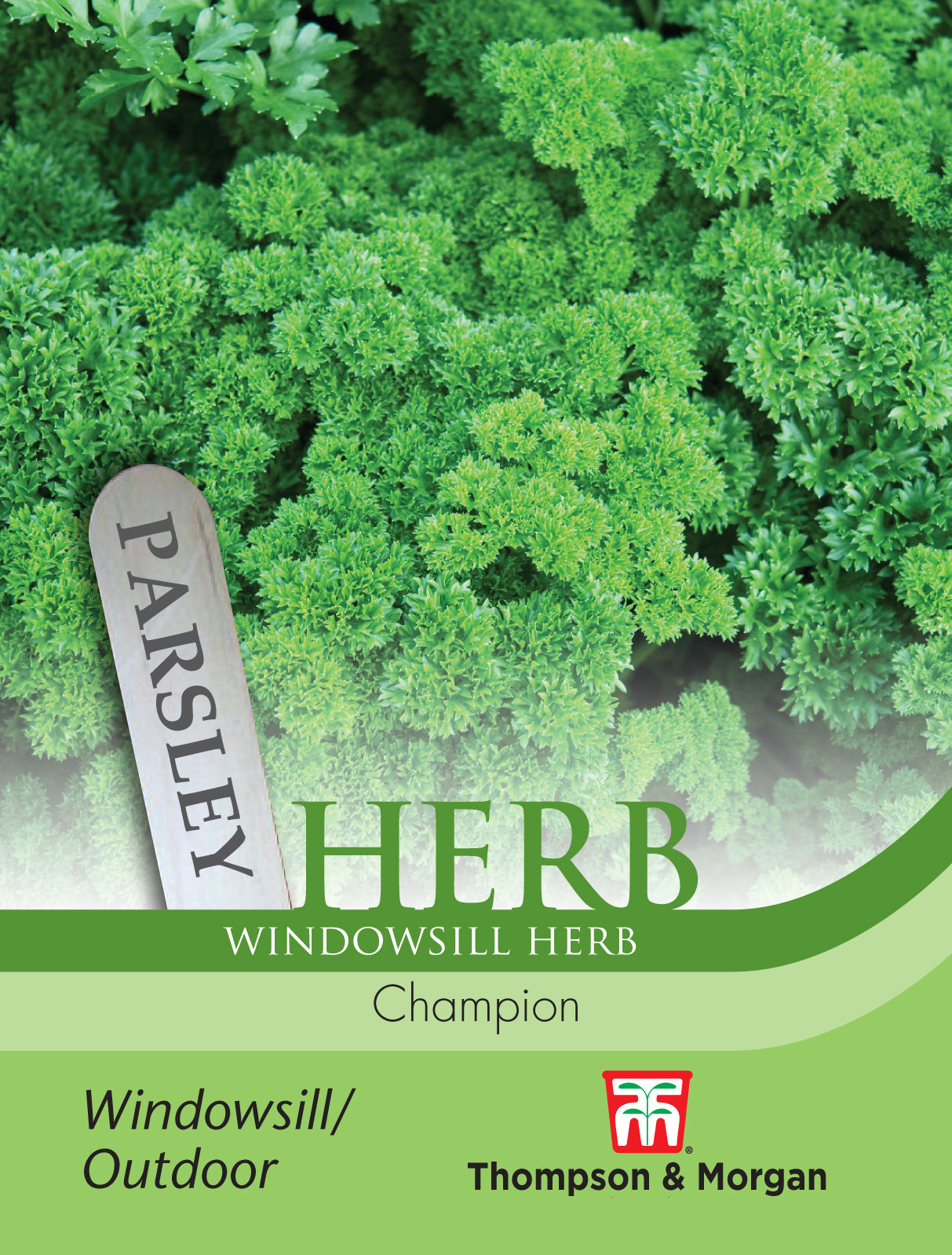 Thompson & Morgan - Herb Parsley Champion Seeds
