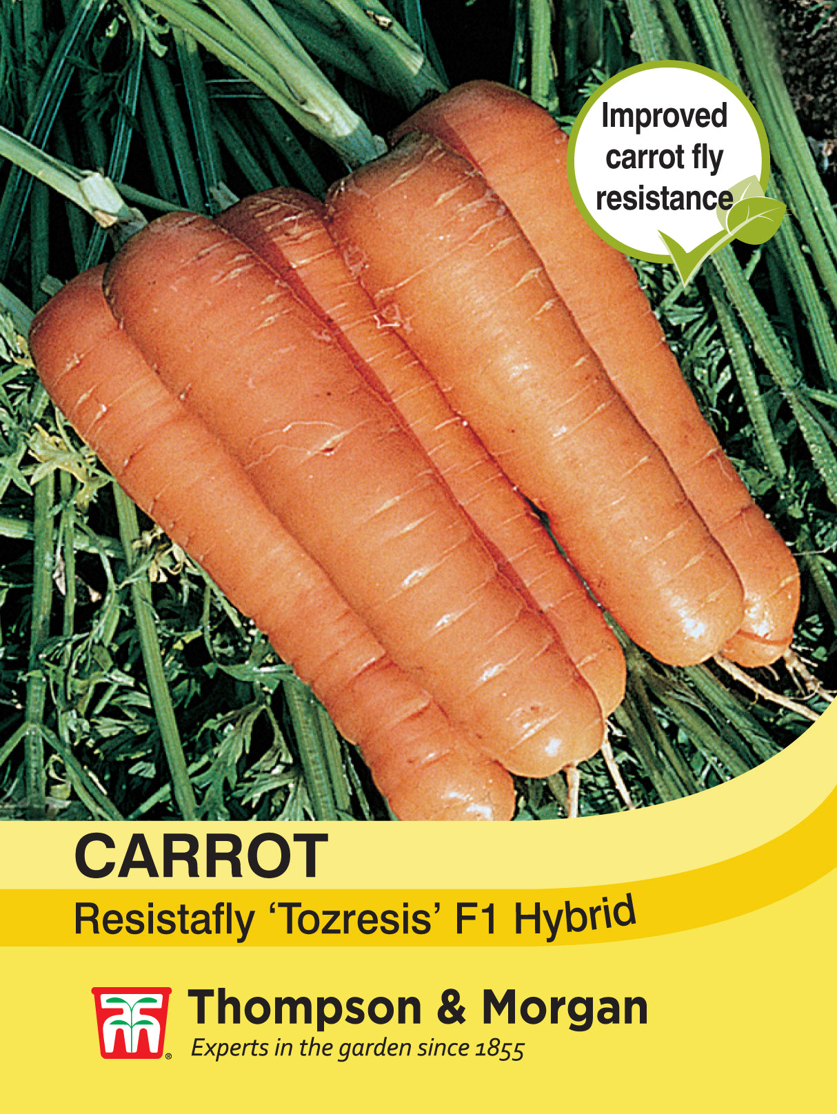 Thompson & Morgan - Carrot Resistafly Tozresis F1 Hybrid Seeds
