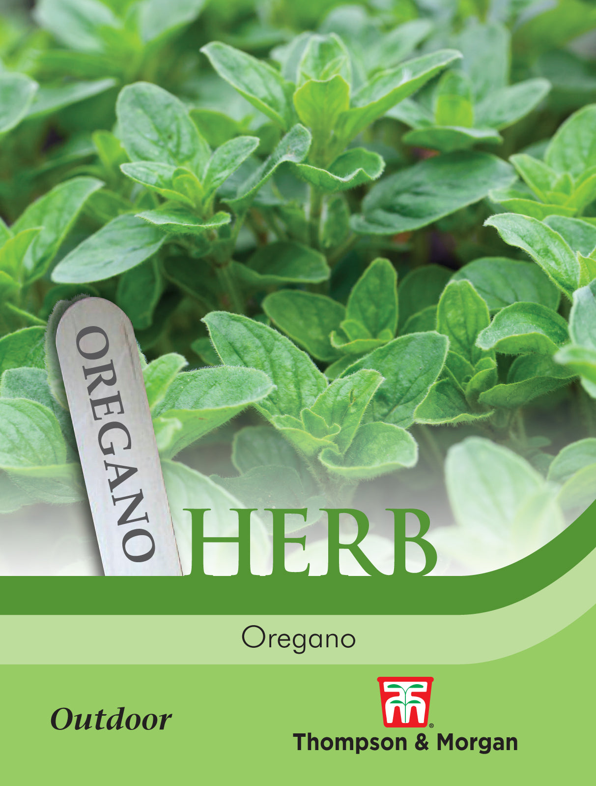 Thompson & Morgan - Herb Oregano Seeds