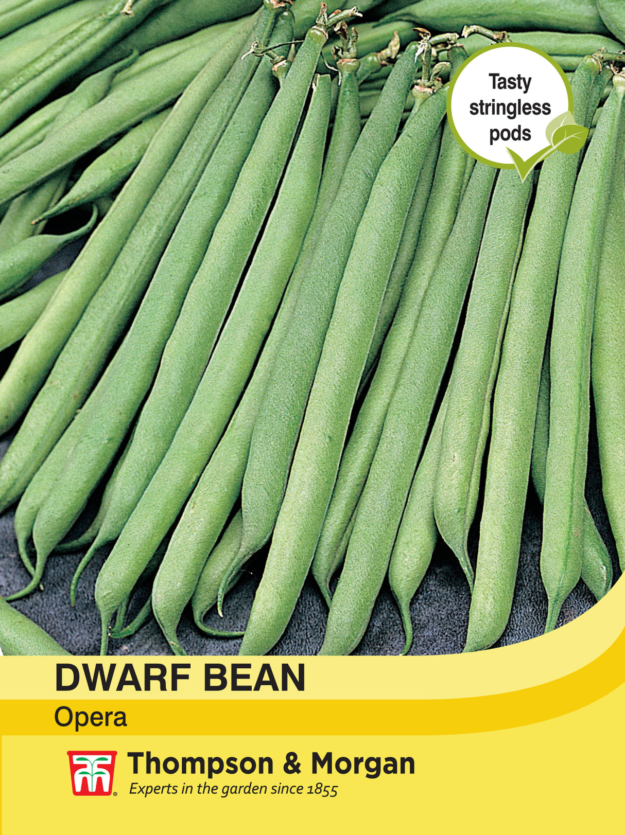 Thompson & Morgan - Dwarf Bean Opera Seeds