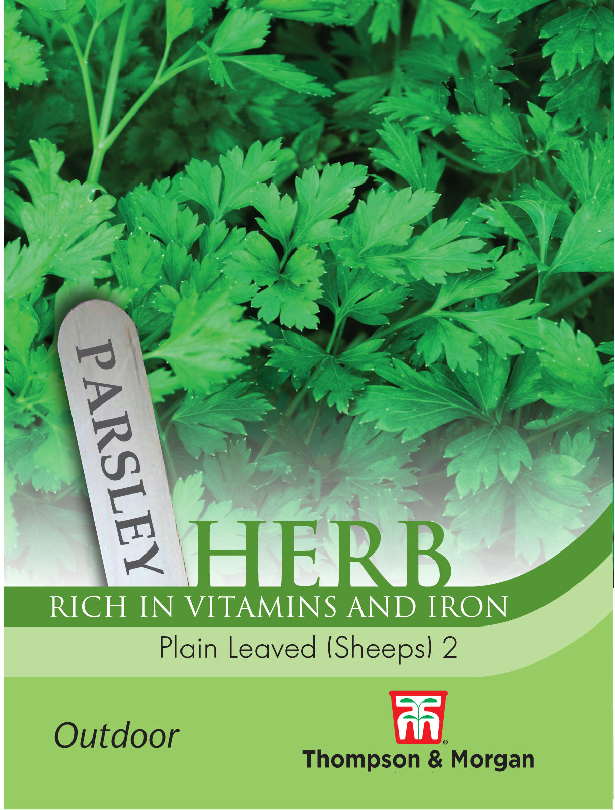 Thompson & Morgan - Herb Parsley Plain Leaved (Sheeps) 2 Seeds