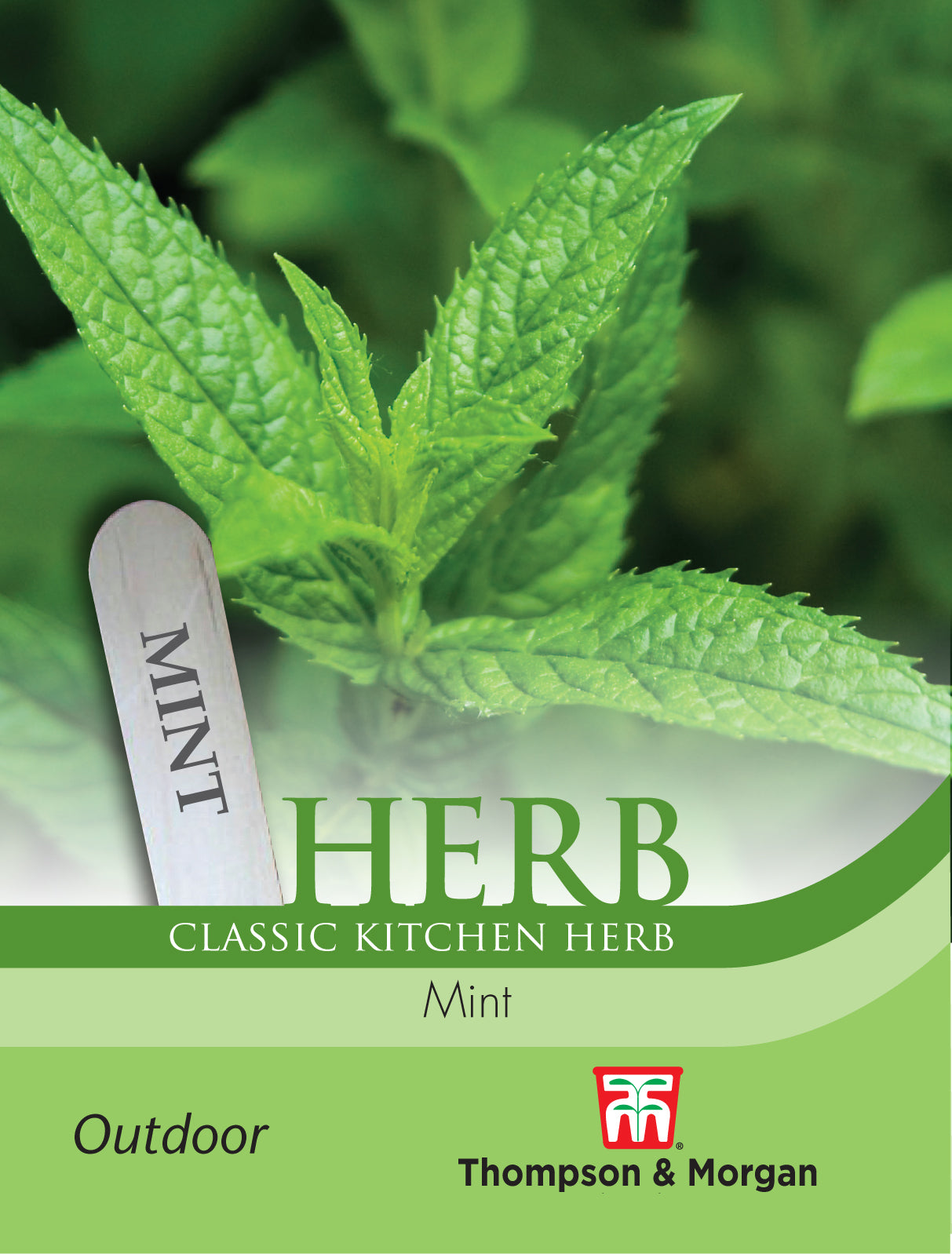 Thompson & Morgan - Herb Mint (Peppermint) Seeds