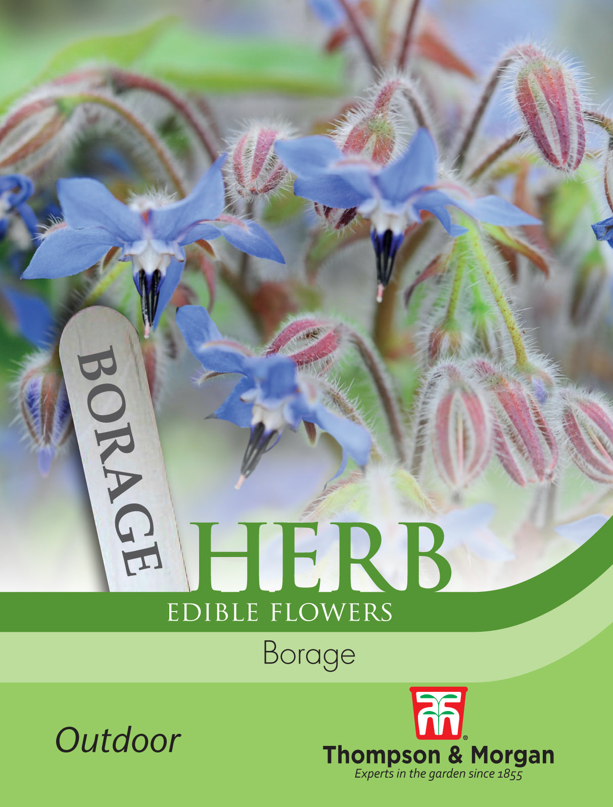 Thompson & Morgan - Herb Borage Seeds