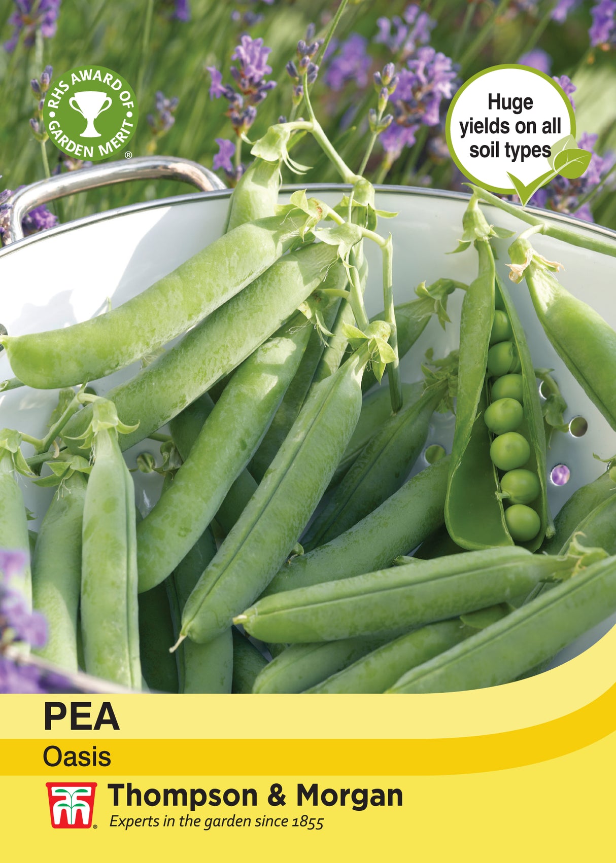 Thompson & Morgan - Pea Oasis Seeds