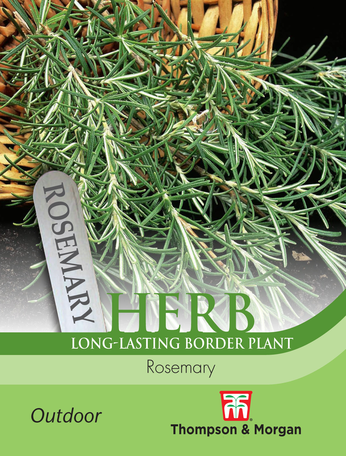 Thompson & Morgan - Herb Rosemary Seeds