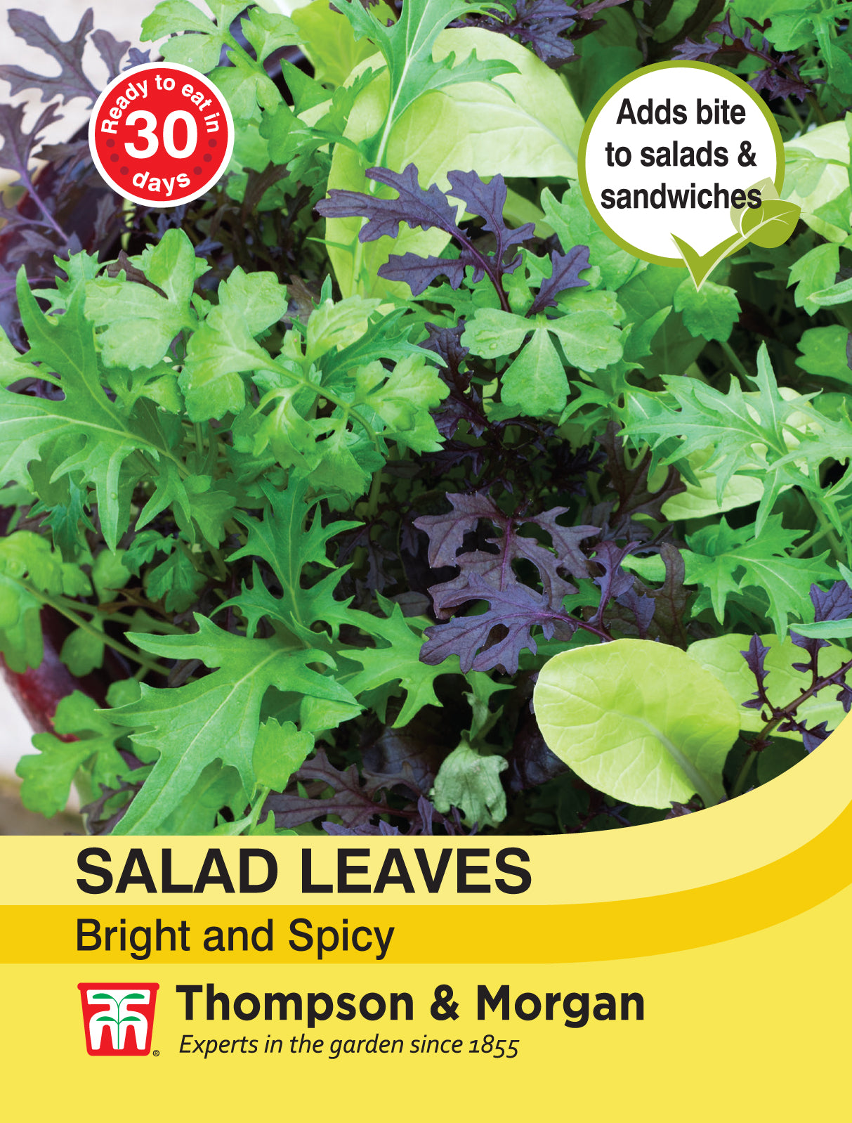 Thompson & Morgan - Salad Leaves - Bright and Spicy Seeds